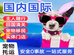赤峰机场空运国际宠物托运 【国